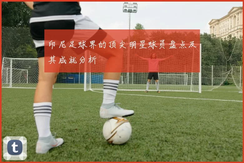 印尼足球界的顶尖明星球员盘点及其成就分析