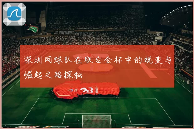 深圳网球队在联合会杯中的蜕变与崛起之路探秘
