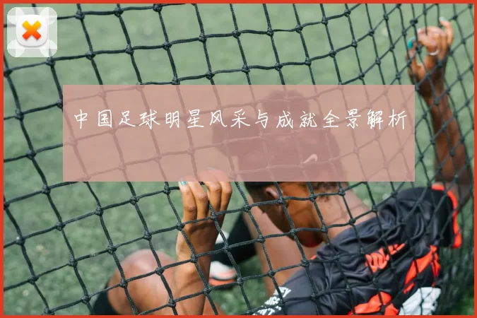 中国足球明星风采与成就全景解析