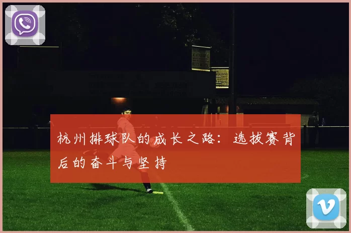 杭州排球队的成长之路：选拔赛背后的奋斗与坚持