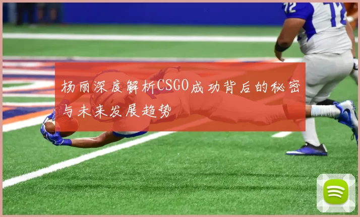 杨丽深度解析CSGO成功背后的秘密与未来发展趋势