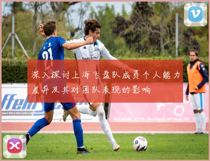 深入探讨上海飞盘队成员个人能力差异及其对团队表现的影响