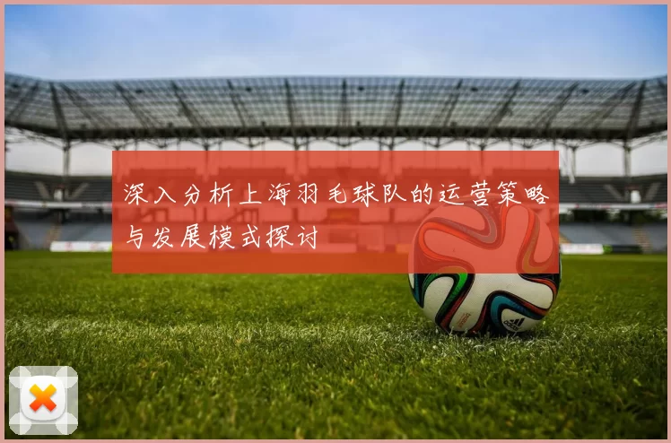 深入分析上海羽毛球队的运营策略与发展模式探讨