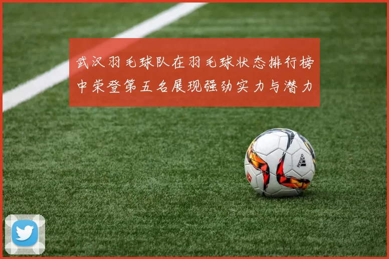 武汉羽毛球队在羽毛球状态排行榜中荣登第五名展现强劲实力与潜力