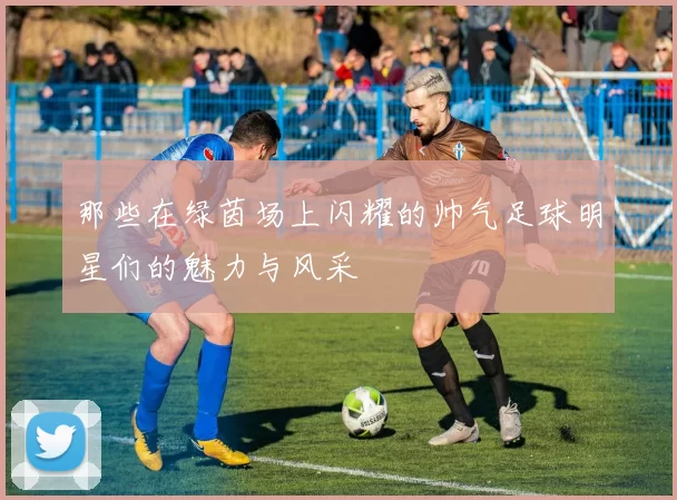 那些在绿茵场上闪耀的帅气足球明星们的魅力与风采