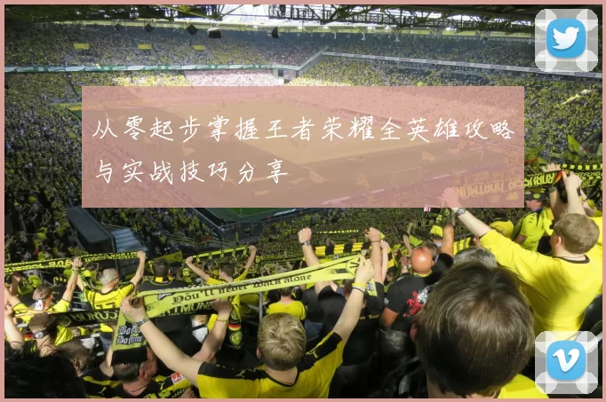 从零起步掌握王者荣耀全英雄攻略与实战技巧分享