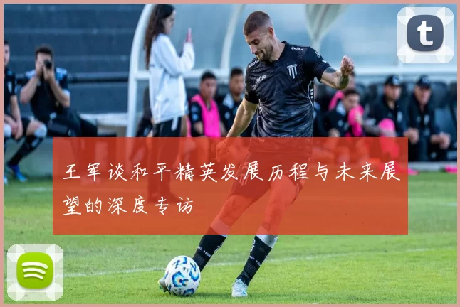 王军谈和平精英发展历程与未来展望的深度专访