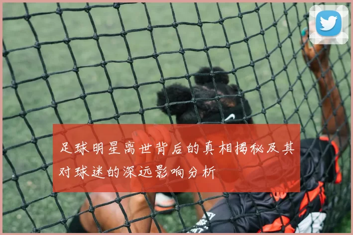 足球明星离世背后的真相揭秘及其对球迷的深远影响分析