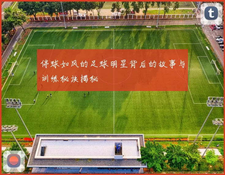 停球如风的足球明星背后的故事与训练秘诀揭秘