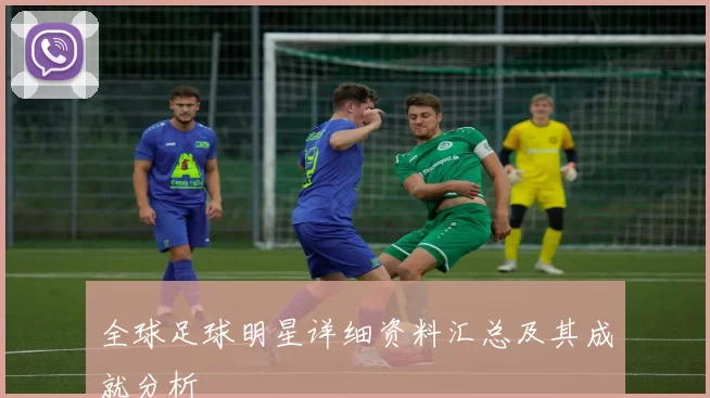 全球足球明星详细资料汇总及其成就分析