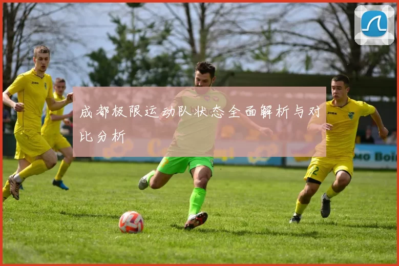 成都极限运动队状态全面解析与对比分析