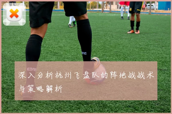深入分析杭州飞盘队的阵地战战术与策略解析