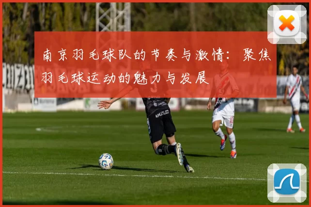 南京羽毛球队的节奏与激情：聚焦羽毛球运动的魅力与发展