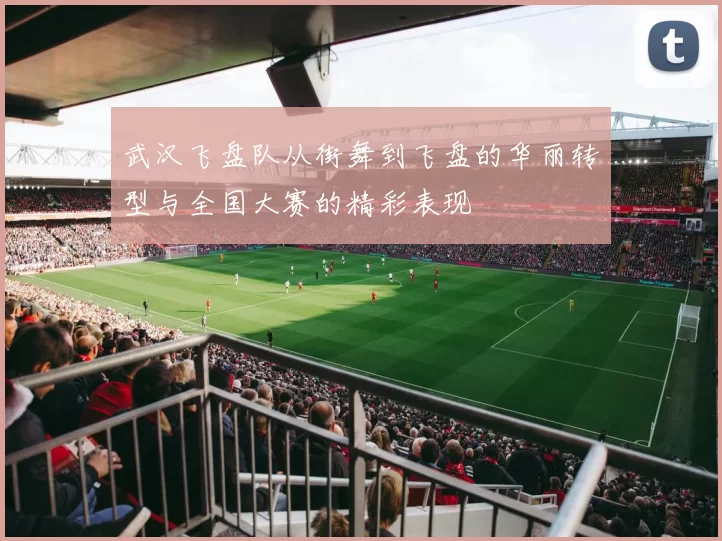 武汉飞盘队从街舞到飞盘的华丽转型与全国大赛的精彩表现