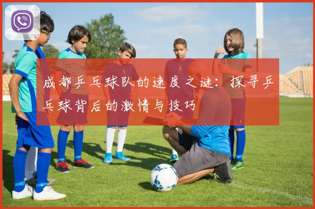 成都乒乓球队的速度之谜：探寻乒乓球背后的激情与技巧