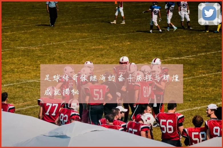 足球传奇张继海的奋斗历程与辉煌成就揭秘