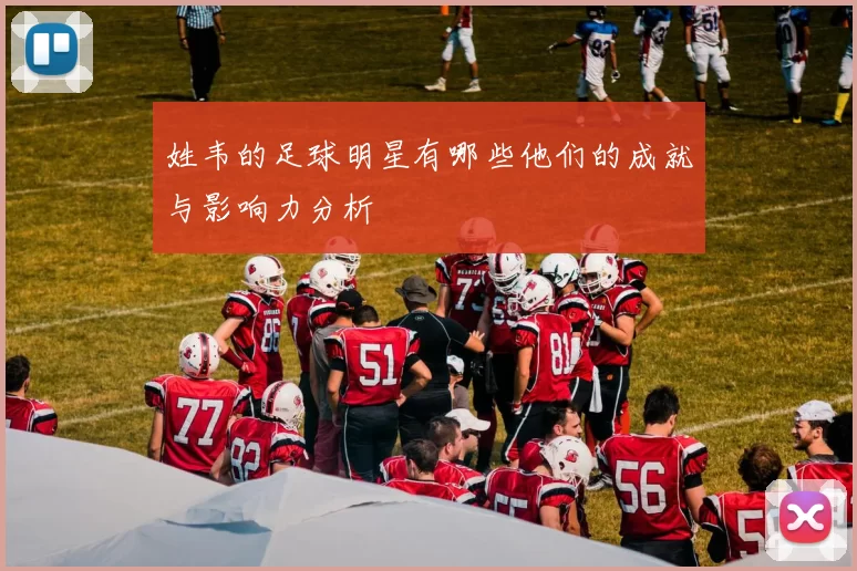 姓韦的足球明星有哪些他们的成就与影响力分析