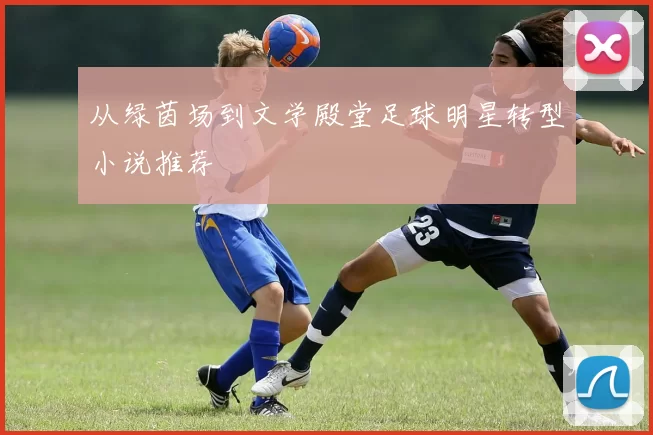 从绿茵场到文学殿堂足球明星转型小说推荐