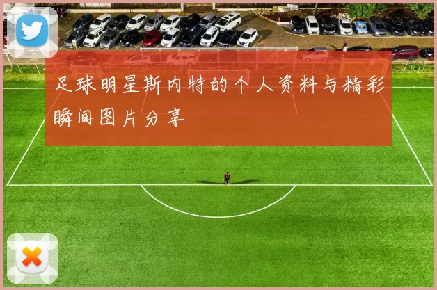 足球明星斯内特的个人资料与精彩瞬间图片分享