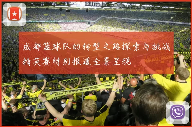 成都篮球队的转型之路探索与挑战精英赛特别报道全景呈现