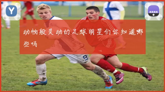 动物般灵动的足球明星们你知道哪些吗