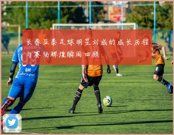 长春亚泰足球明星刘成的成长历程与赛场辉煌瞬间回顾