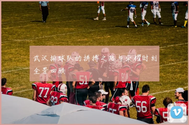武汉排球队的拼搏之路与荣耀时刻全景回顾
